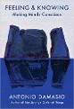 Damasio - Feeling and Knowing, Making Minds Conscious cover - title in blue on white background, large bule-gray stones reflected in bottom half in blue field of color